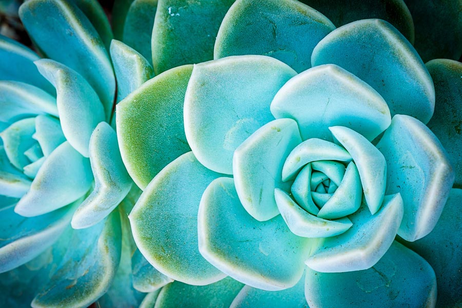 BHRT-Specialist-East-Bay-Area-Audra-Foster BHRT Specialist East Bay Area Audra Foster