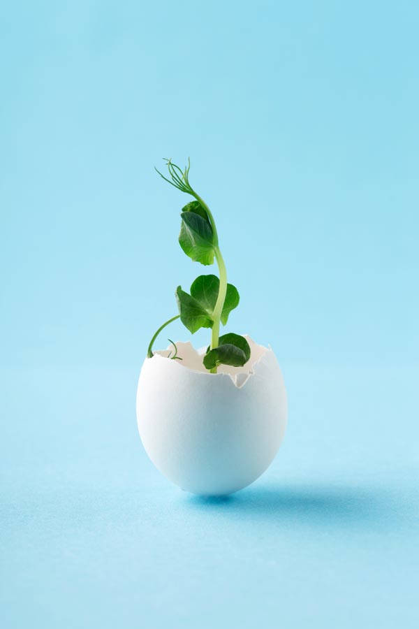 Infertility-Treatment-East-Bay-Area-Audra-Foster Infertility Treatment East Bay Area Audra Foster